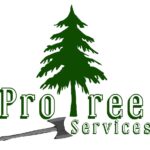PRO TREE SERVICES
